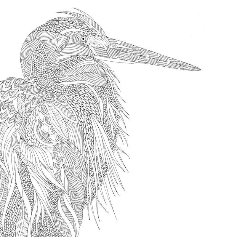 Coloring page of a detailed bird illustration from the Animal and Plant Coloring Therapy Book for All Ages, featuring intricate line art for relaxation and creative stress relief.